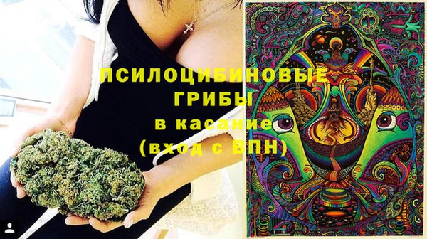 трава Алексин