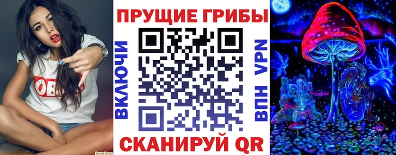 Купить  Бирюч  Галлюциногенные грибы Psilocybine cubensis 